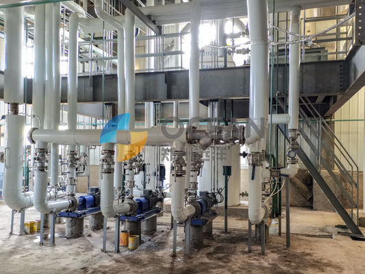 Wstępna obróbka oleju rzepakowego Przetwarzanie nasion roślin oleistych 30-1500TPD