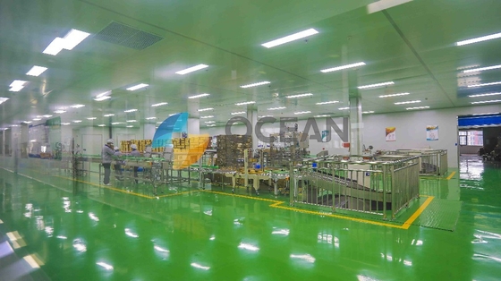 Mała skala ZX130 Produkcja oleju jadalnego Linia produkcyjna do ekstrakcji Zastosowanie fabryczne