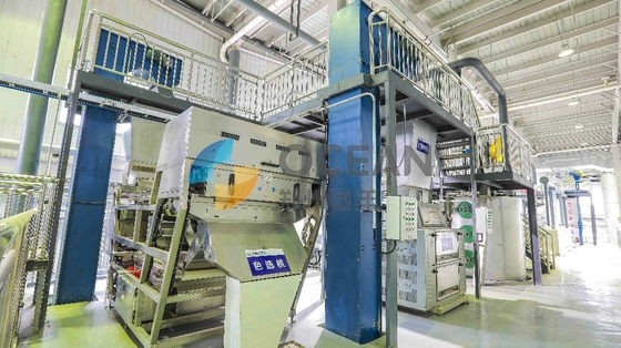Maszyna do produkcji oleju jadalnego OEM Soya Oilseed Plant